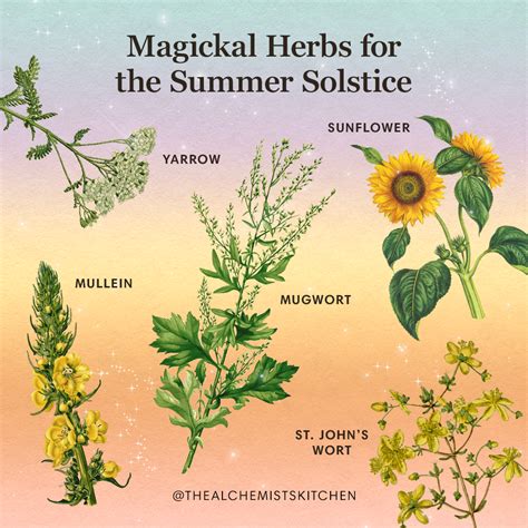 The Summer Solstice and Healing: Witchy Remedies for Mind, Body, and Spirit